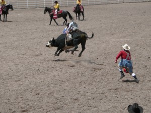 Cheyenne Frontier Days 2008